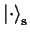 ${\vert\cdot \rangle}_\mathbf{s}$