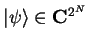 ${\vert\psi \rangle}\in{\bf C}^{2^N}$