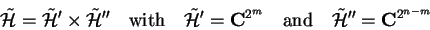 \begin{displaymath}
\tilde{\mathcal{H}}=\tilde{\mathcal{H}}'\times\tilde{\mathca...
...ad\mathrm{and}\quad \tilde{\mathcal{H}}''=\mathbf{C}^{2^{n-m}}
\end{displaymath}