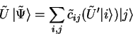 \begin{displaymath}
\tilde{U} {\vert\tilde{\Psi} \rangle}=
\sum_{i,j} \tilde{c}_{ij} (\tilde{U}'{\vert i \rangle}){\vert j \rangle}
\end{displaymath}