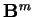 $\mathbf{B}^m$