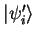 ${\vert\psi_i' \rangle}$