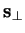 $\mathbf{s}_{\bot}$