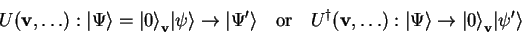 \begin{displaymath}
U(\mathbf{v},\ldots):{\vert\Psi \rangle}={\vert \rangle}_\m...
...i \rangle}
\to {\vert \rangle}_\mathbf{v}{\vert\psi' \rangle}
\end{displaymath}