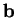 $\mathbf{b}$