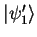 ${\vert\psi_1' \rangle}$