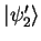 ${\vert\psi_2' \rangle}$