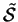 $\tilde{\mathcal{S}}$
