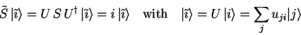 \begin{displaymath}
\tilde{S} {\vert\tilde{\imath} \rangle}=
U S {U}^\dagge...
...rangle}=U {\vert i \rangle}=
\sum_j u_{ji} {\vert j \rangle}
\end{displaymath}